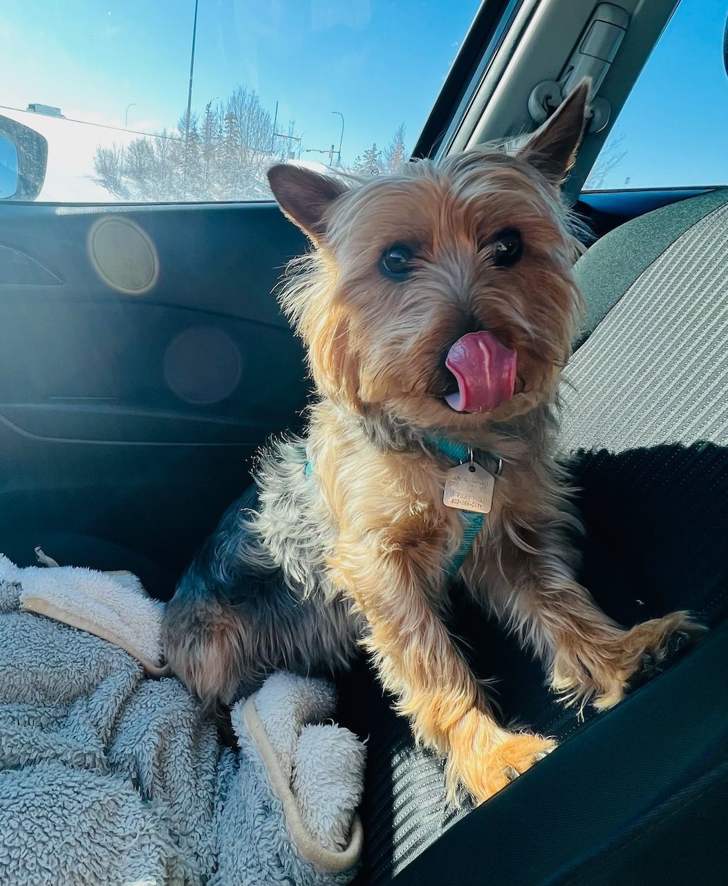 Kilabyte wearing a bandanna