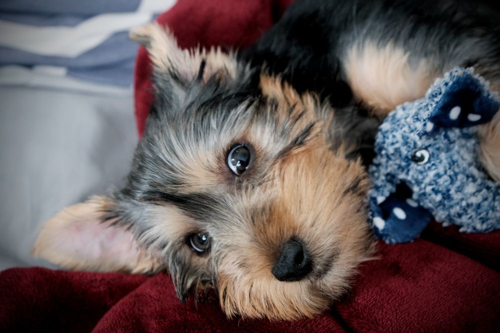 Me and my favorite elephant! 